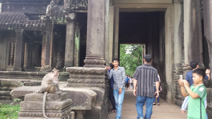 Cambodia-Trip-Report-Img-9.jpg