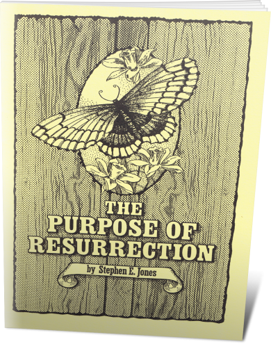 Purpose-of-Resurrection-3D.png